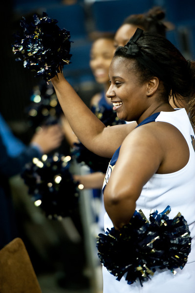 southwest dekalb panthers